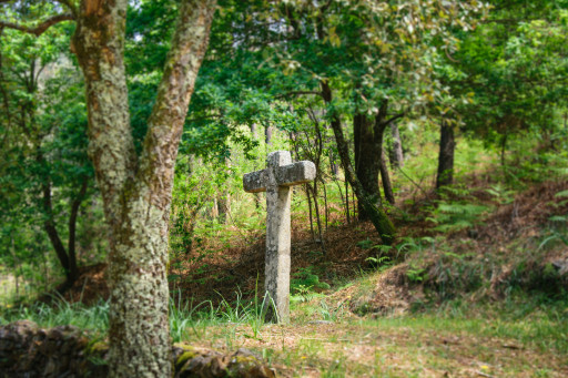 Cruzeiro S. Joao da Grova - Cópia.jpg