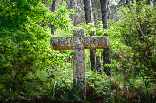 Cruzeiro S.Joao da Grova - Cópia.jpg