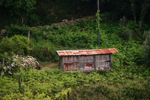 Espigueiro Calheiros - Cópia