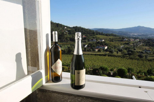 148957_273816739413005_469625186_n