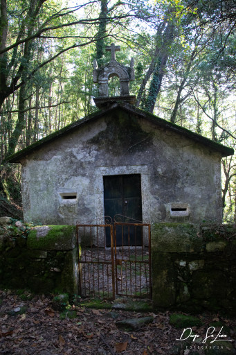 Senhora de Guadalupe.jpg