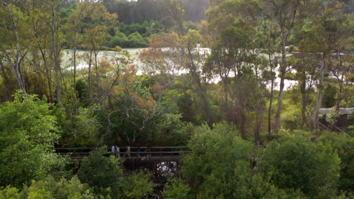 Ponte de Lima Rota Pic 33